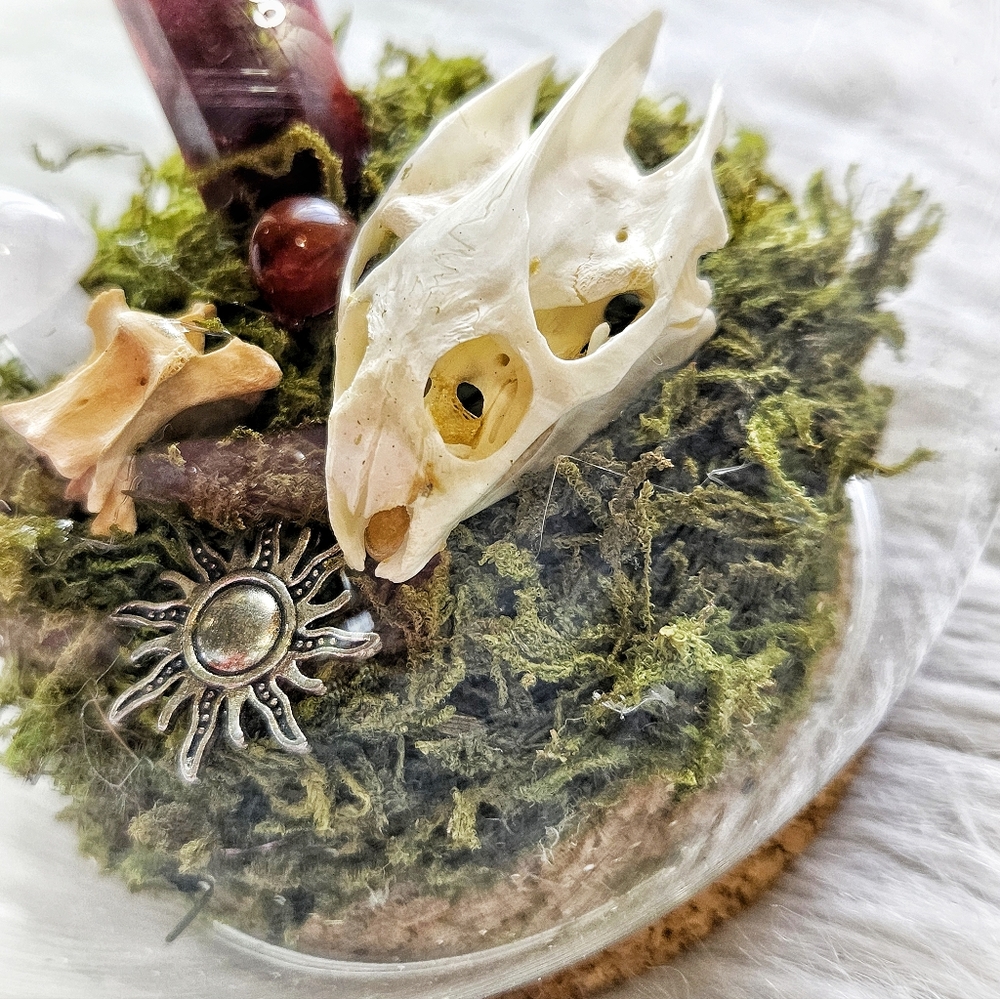 Crystal/Skull Terrarium Globe - Picture 2 of 4